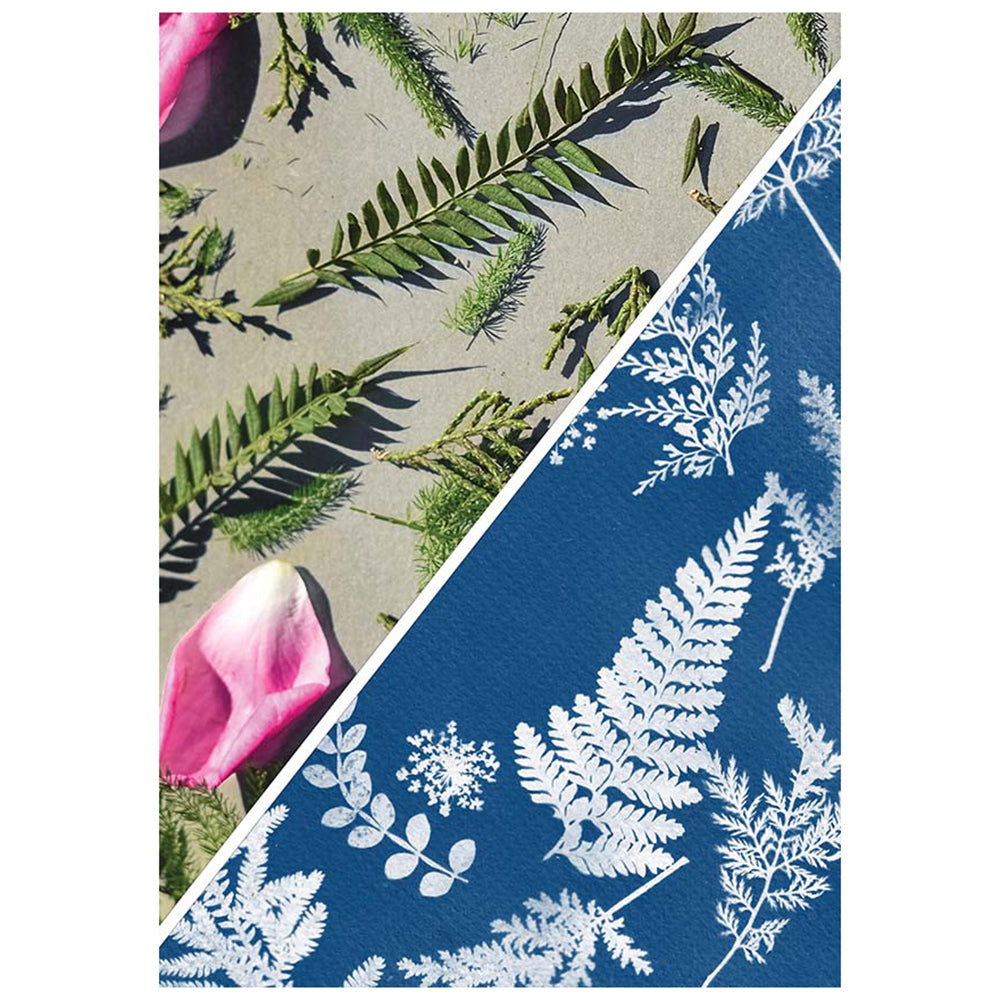Cyanotype - Sun Photography Kit