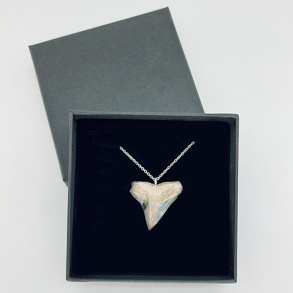 Keri Mei Zagrobelna: Sterling Silver Niho Mako / Shark Tooth Necklace