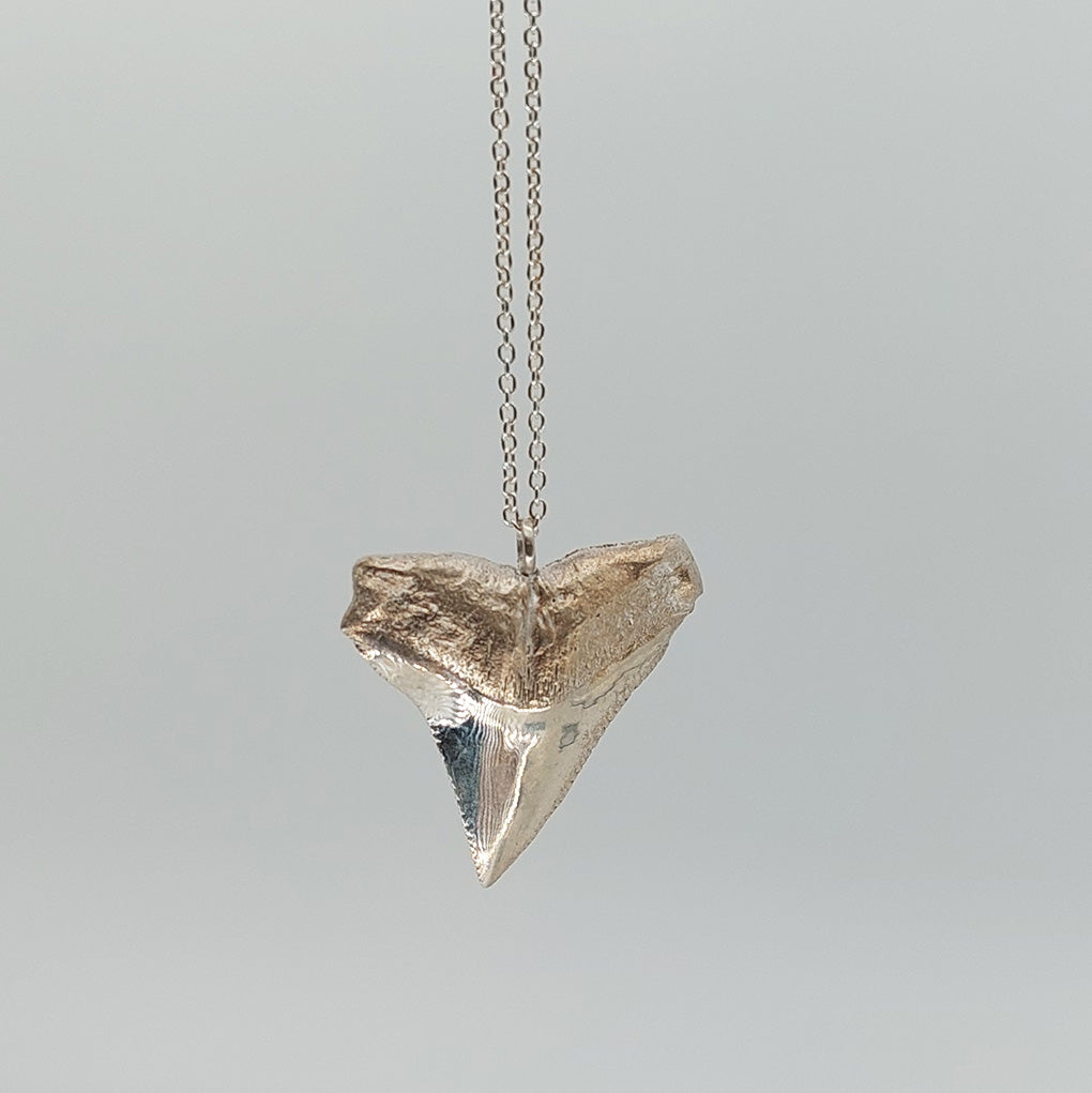 Keri Mei Zagrobelna: Sterling Silver Niho Mako / Shark Tooth Necklace