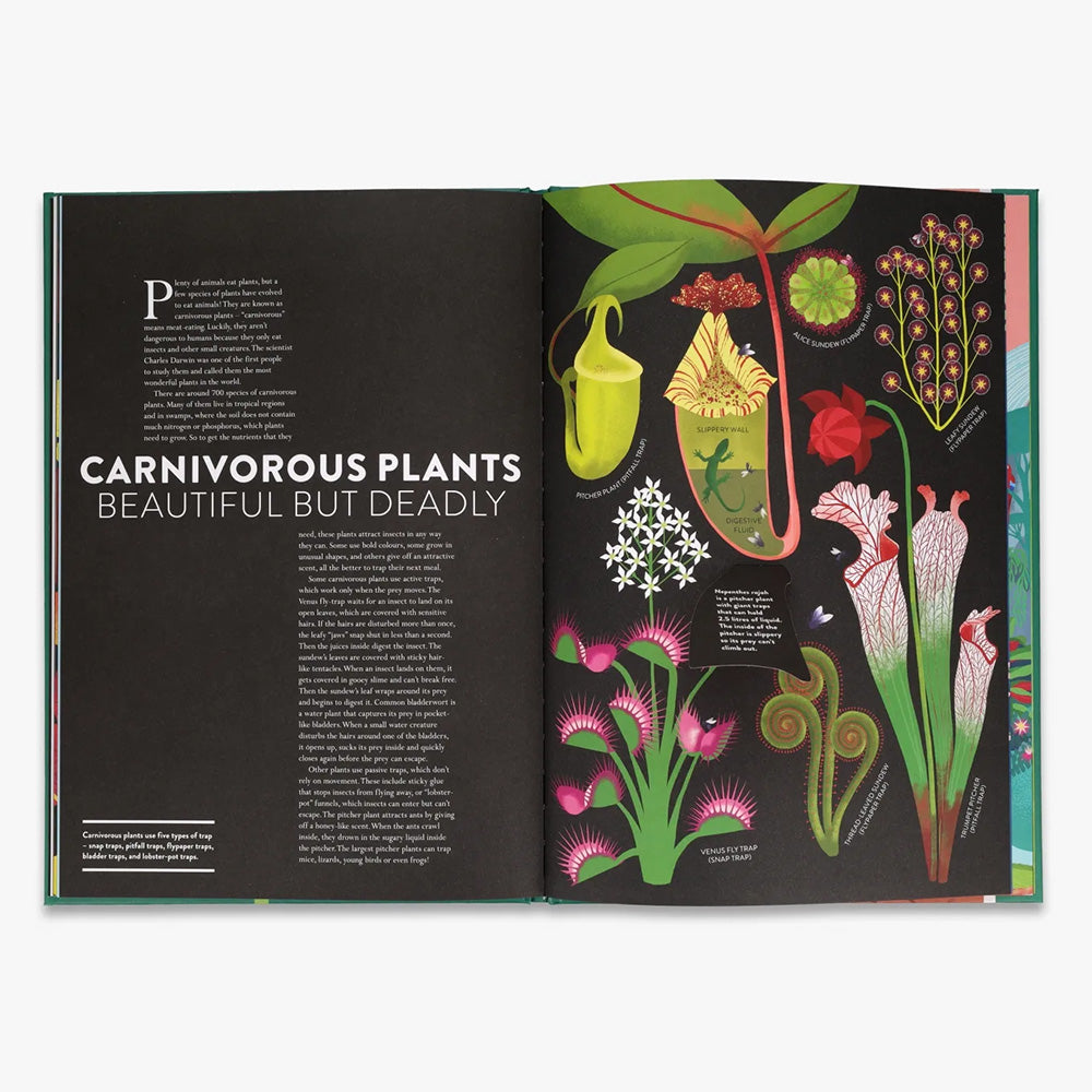 Plant Life