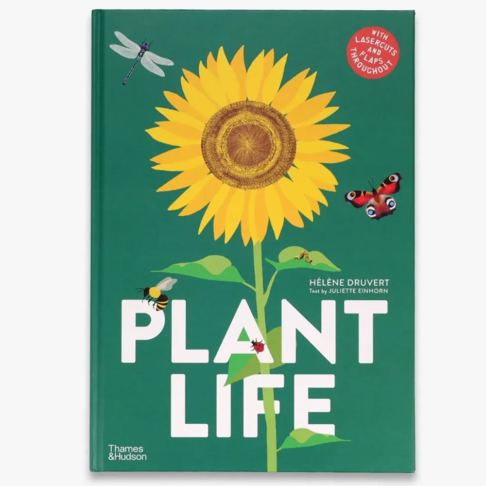 Plant Life